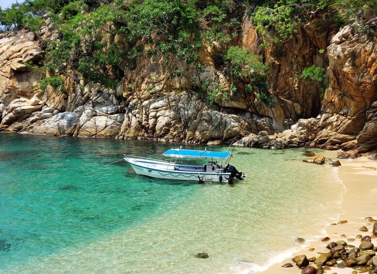 Picture 6 for Activity Puerto Vallarta: Private Boat Trip to Yelapa with Snorkeling