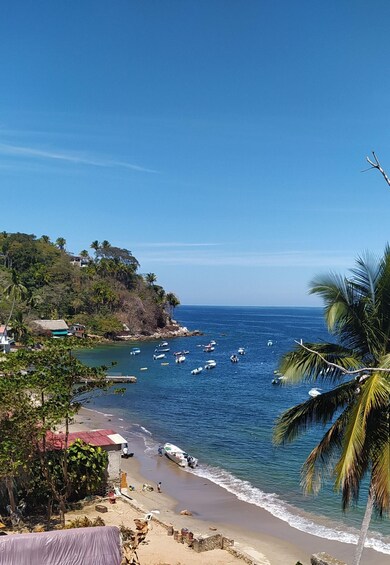 Picture 9 for Activity Puerto Vallarta: Private Boat Trip to Yelapa with Snorkeling