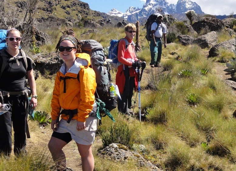 Picture 1 for Activity Kilimanjaro National Park – Shira Plateau Day Trip