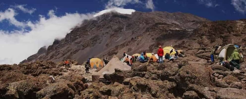 Picture 3 for Activity Kilimanjaro National Park – Shira Plateau Day Trip