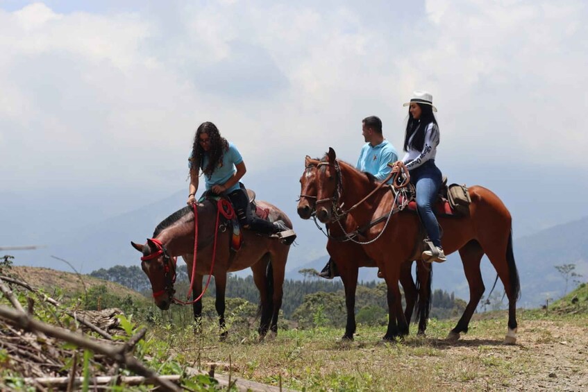 Picture 6 for Activity Medellin: Horseback Riding in the Medellin Mountains