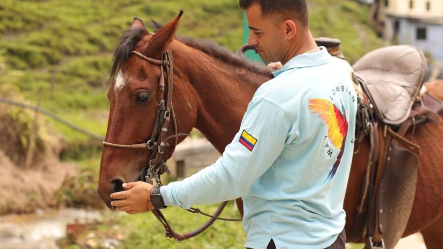 Medellin: Horseback Riding in the Medellin Mountains