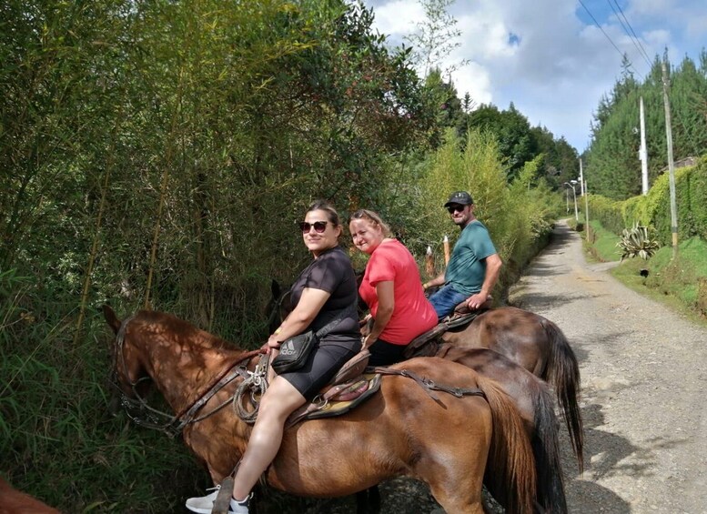 Picture 12 for Activity Medellin: Horseback Riding in the Medellin Mountains