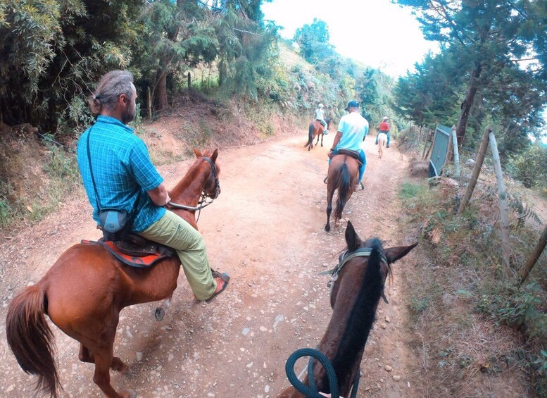 Picture 2 for Activity Medellin: Horseback Riding in the Medellin Mountains