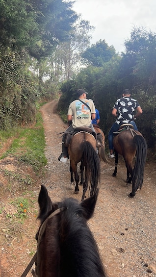 Picture 10 for Activity Horseback Riding in the Beautiful Mountains of Medellin