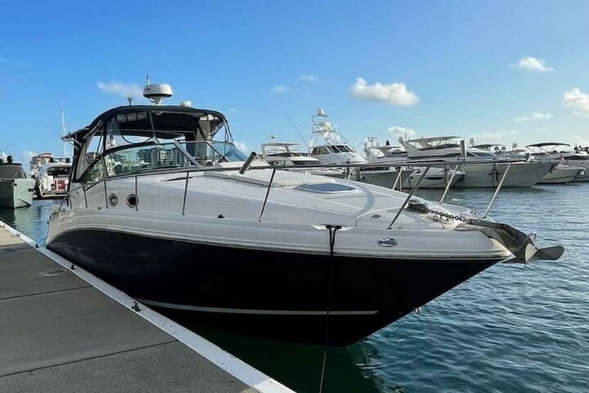 Picture 2 for Activity Miami: 37-Foot Sundancer Boat Rental