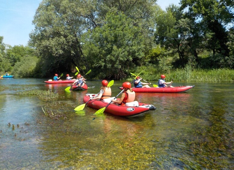 Picture 4 for Activity Zadar: River Zrmanja Guided Kayak Safari & Waterfalls