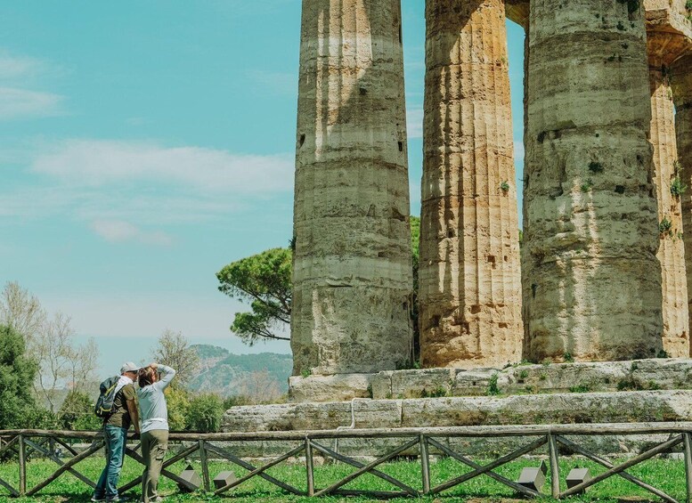 Picture 2 for Activity Paestum Archaeological Tour: 3-Hour Private Exploration