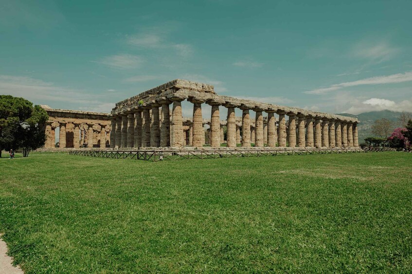 Picture 5 for Activity Paestum Archaeological Tour: 3-Hour Private Exploration