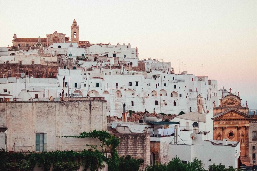 Picture 2 for Activity Visit Ostuni, Locorotondo & Polignano! Private tour