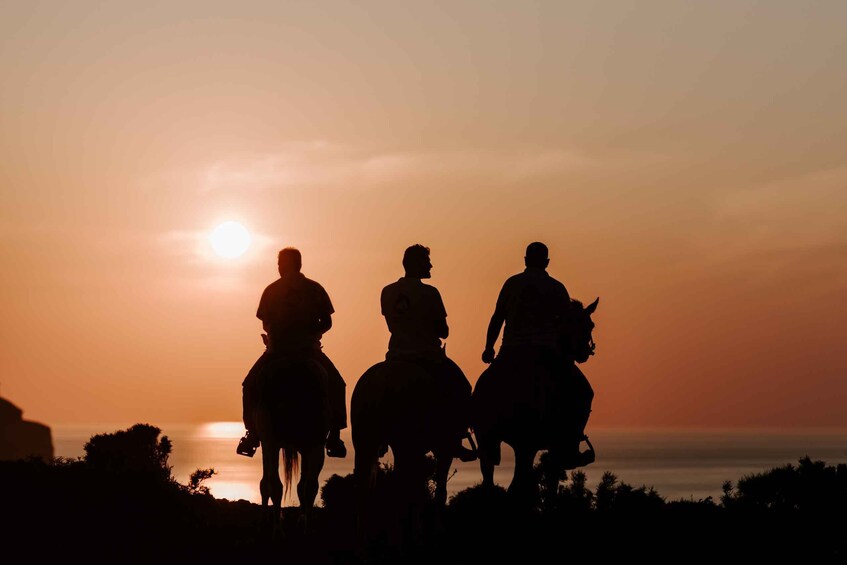 Picture 1 for Activity Santorini:Horse Riding Experience at Sunset on the Caldera