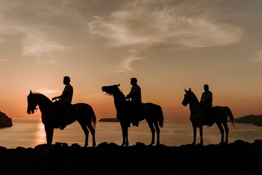 Picture 9 for Activity Santorini:Horse Riding Experience at Sunset on the Caldera