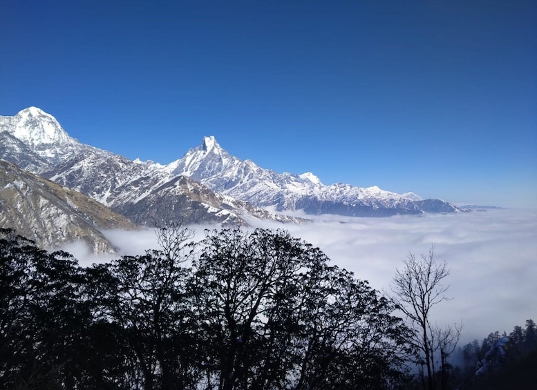 Picture 5 for Activity 6 Night 7 days Khopra hill trek from Pokhara