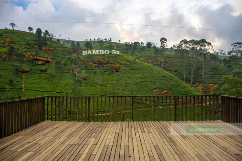 Picture 10 for Activity Kandy to Nuwaraeliya Day Tour