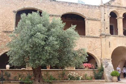 Tour privado de aceite de oliva en Chania: degustación de aceite y recorrid...