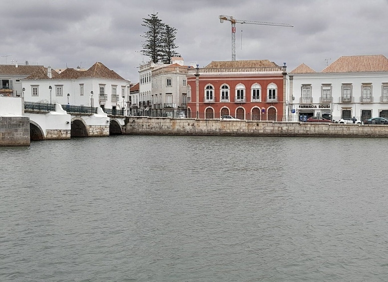 Albufeira: Olhão Market, Tavira, Faro & Ria Formosa Day Trip