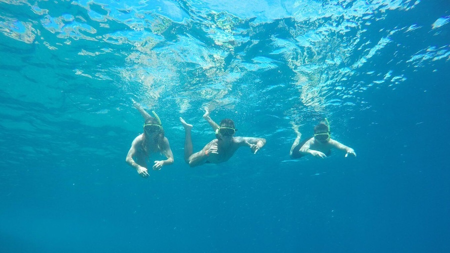 Rio: Snorkel & Swim with Turtles Tour at Tijuca Islands
