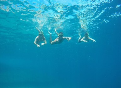 Rio: Schnorcheln & Schwimmen mit Schildkröten Tour auf den Tijuca Inseln