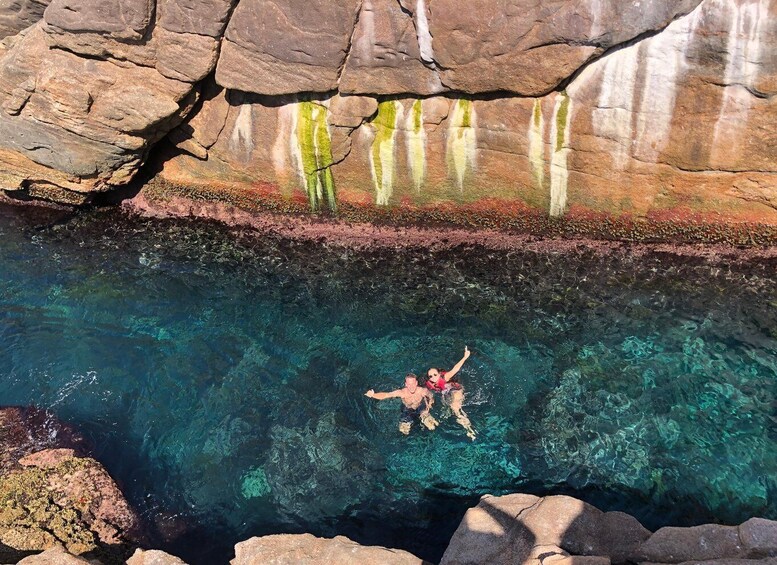 Picture 3 for Activity Rio: Snorkel & Swim with Turtles Tour at Tijuca Islands