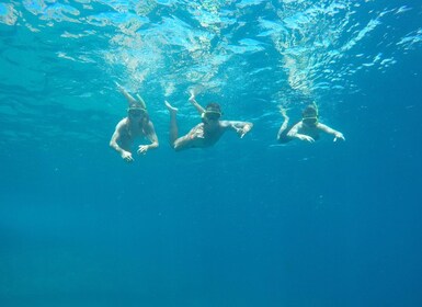 Rio: Schnorcheln & Schwimmen mit Schildkröten Tour auf den Tijuca Inseln