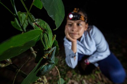 Tortuguero: Night Wildlife Spotting and Jungle Walk Tour