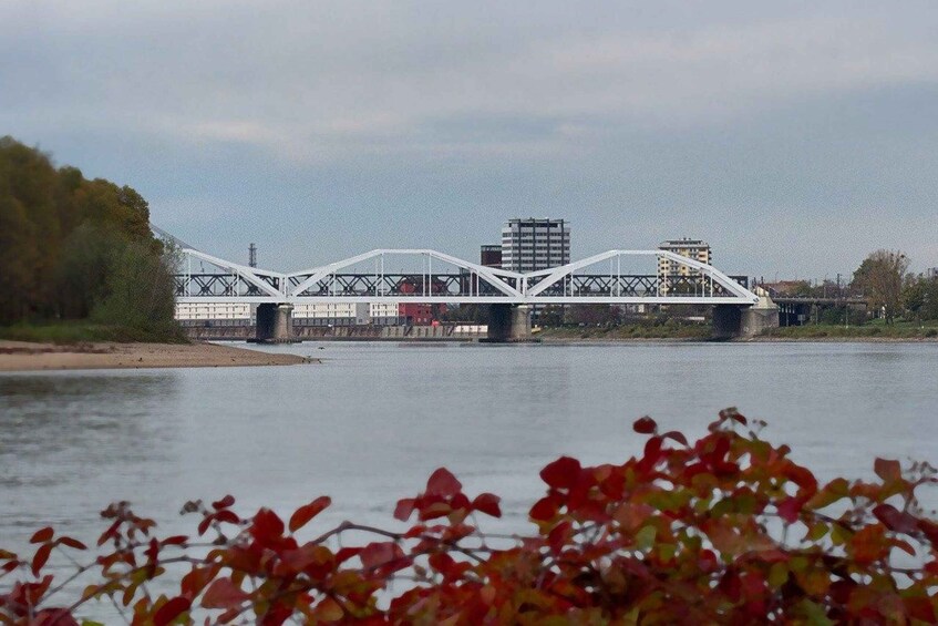 Picture 3 for Activity Ludwigshafen am Rhein Private Guided Walking Tour