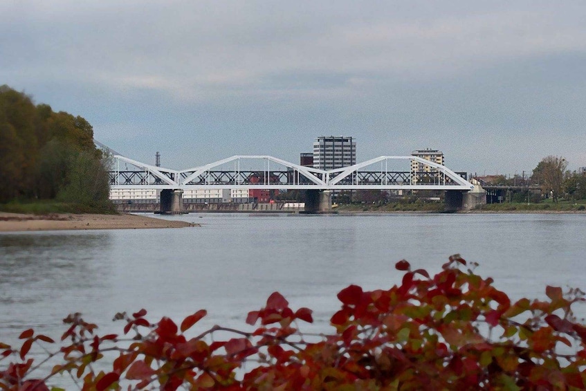 Picture 3 for Activity Ludwigshafen am Rhein Private Guided Walking Tour