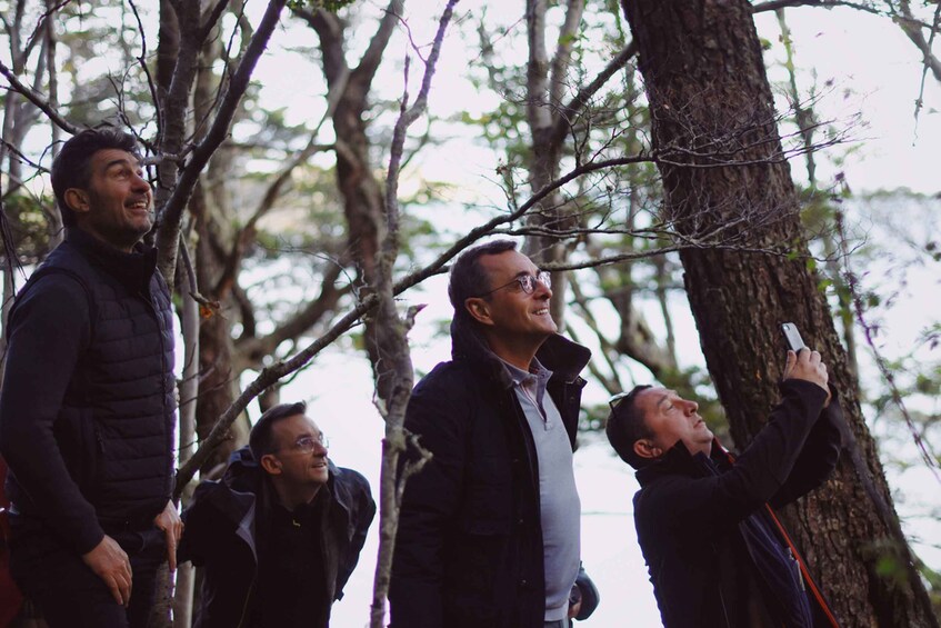 Picture 1 for Activity Tierra del Fuego National Park - Half day tour