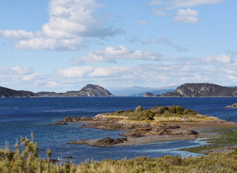 Picture 4 for Activity Tierra del Fuego National Park - Half day tour