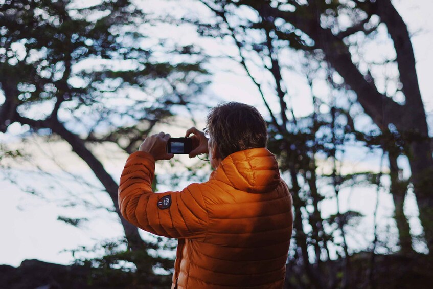 Picture 5 for Activity Tierra del Fuego National Park - Half day tour