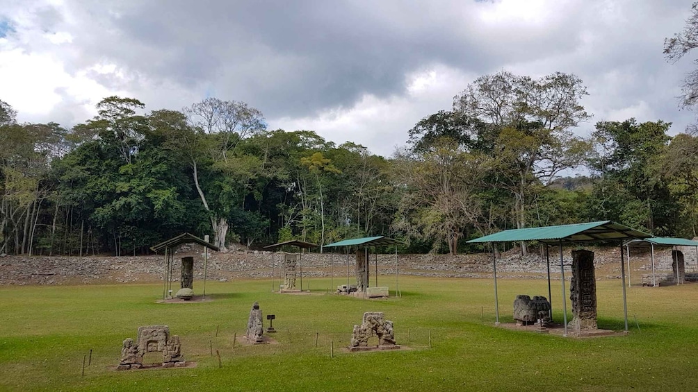 Picture 13 for Activity From San Pedro Sula: Mayan Ruins of Copan Day Trip