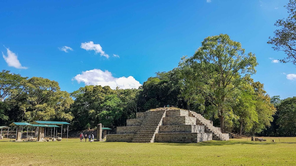 Picture 9 for Activity From San Pedro Sula: Mayan Ruins of Copan Day Trip