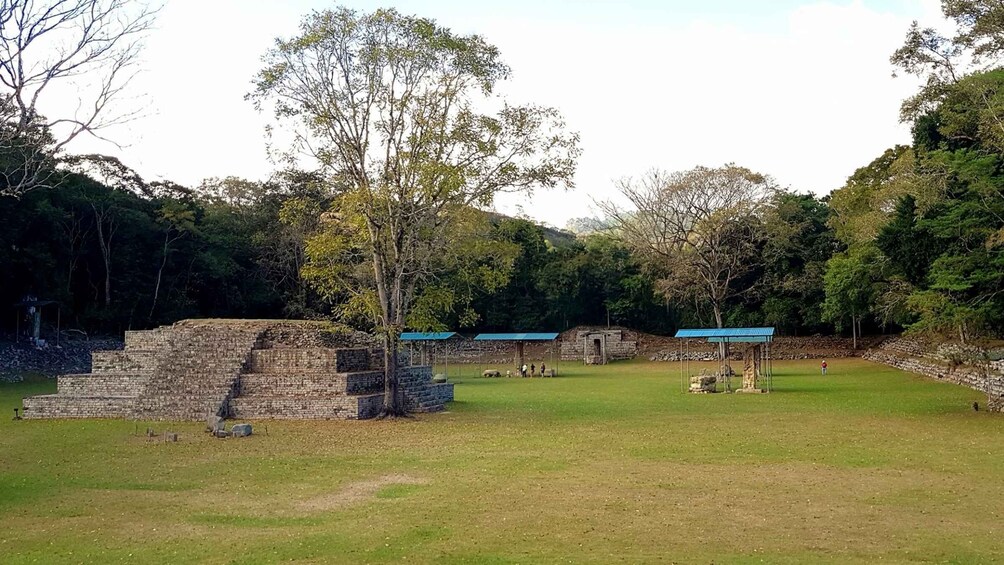 Picture 12 for Activity From San Pedro Sula: Mayan Ruins of Copan Day Trip