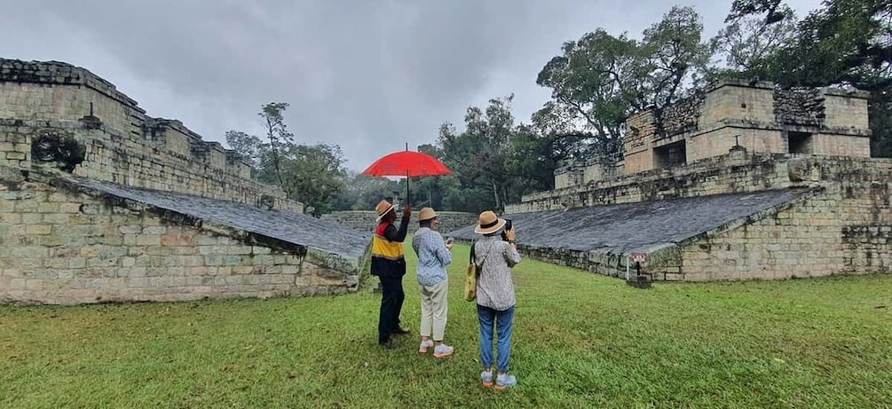 From San Pedro Sula: Mayan Ruins of Copan Day Trip