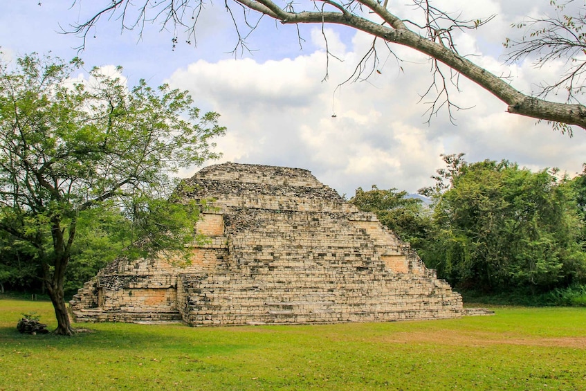 Picture 8 for Activity From San Pedro Sula: Mayan Ruins of Copan Day Trip