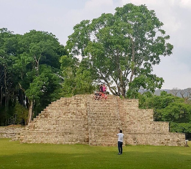 Picture 14 for Activity From San Pedro Sula: Mayan Ruins of Copan Day Trip