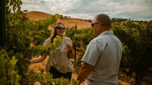Paso Robles: Sidecar Premier Wine Tour with Tastings