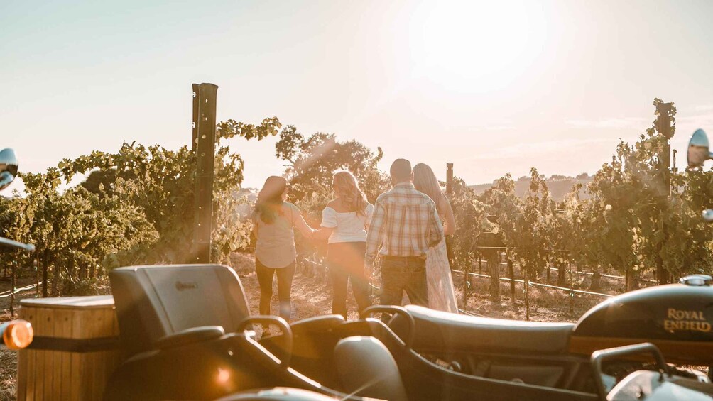 Picture 4 for Activity Paso Robles: Grapevine Getaway Exclusive Wine Tour