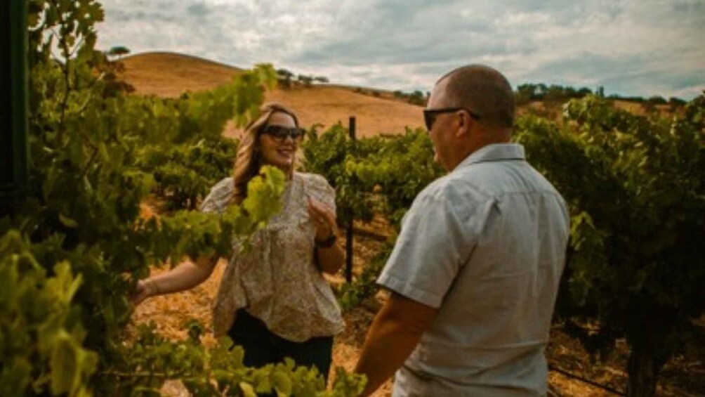 Paso Robles: Sidecar Premier Wine Tour with Tastings