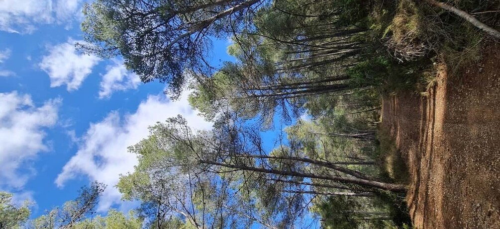 Picture 3 for Activity Hike and Swim in Montenejos Thermal Springs