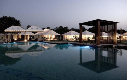 Buoyant Luxurious Overnight Thar Desert Camping Tour
