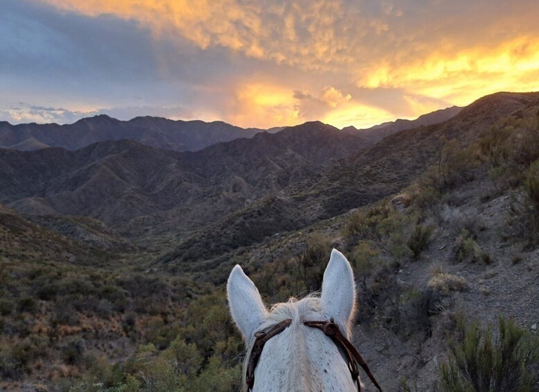 Picture 1 for Activity Mendoza: Sunset Horse Back Riding in the Mountains and BBQ