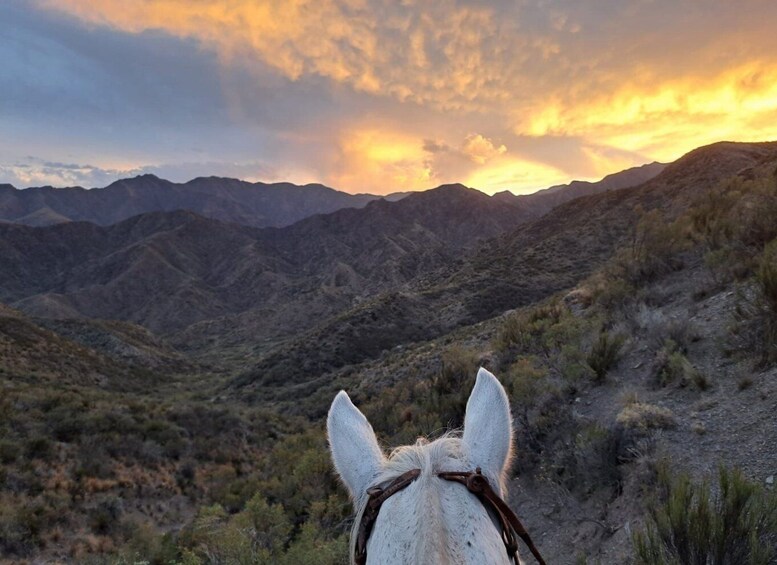 Picture 1 for Activity Mendoza: Sunset Horse Back Riding in the Mountains and BBQ