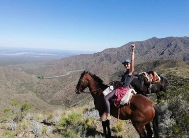 Mendoza: Sunset Horse Back Riding in the Mountains and BBQ