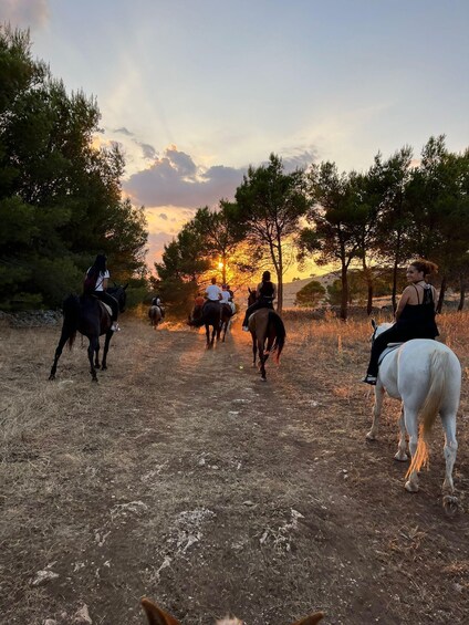 Matera: sunset horseback riding tour on Murgia