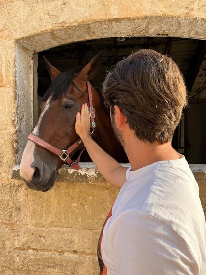 Picture 2 for Activity Matera: sunset horseback riding tour on Murgia