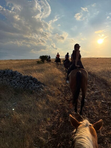 Picture 4 for Activity Matera: sunset horseback riding tour on Murgia