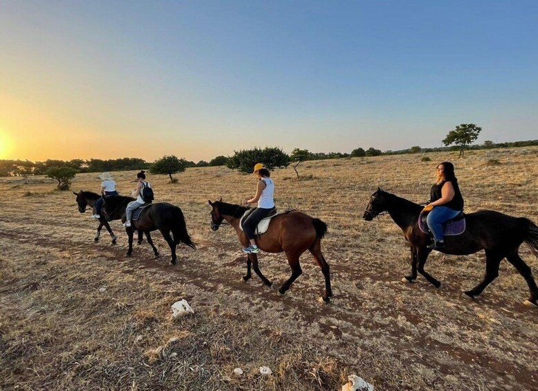 Picture 6 for Activity Matera: sunset horseback riding tour on Murgia