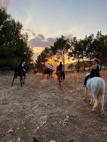 Matera: sunset horseback riding tour on Murgia Park