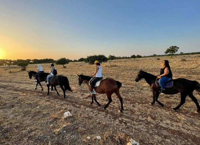 Picture 6 for Activity Matera_Sunset Horse Back Riding Tour on Murgia Park